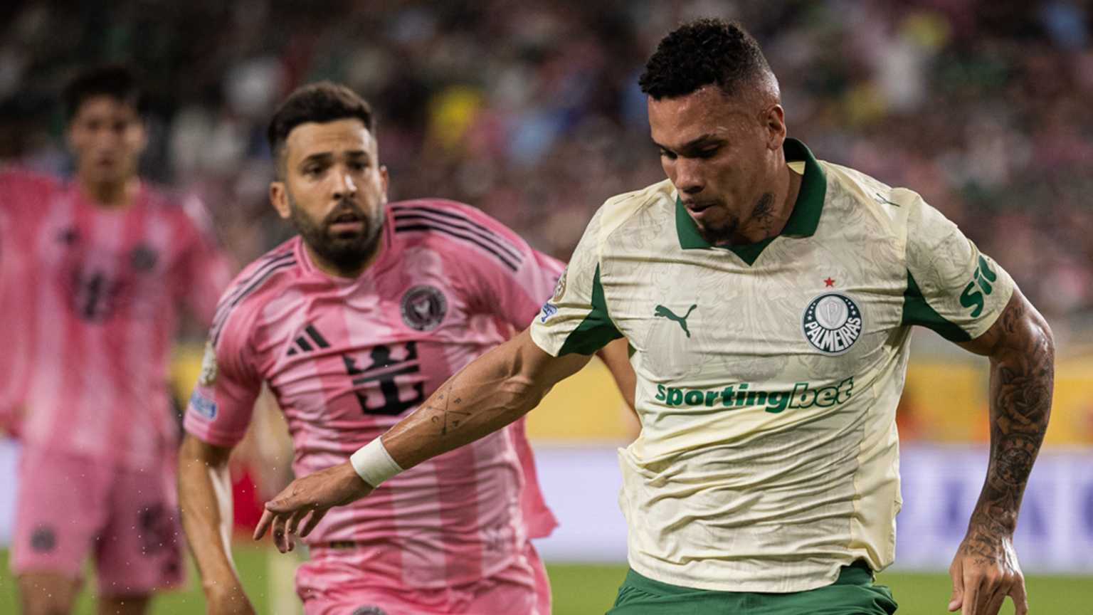 image para ilustrar o artigo