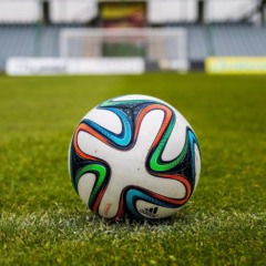 Copa do Mundo 2026: o que apostadores inteligentes precisam saber