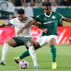 Palmeiras em ação pela Copa do Mundo de Clubes (Foto: Cesar Greco / Palmeiras) 
