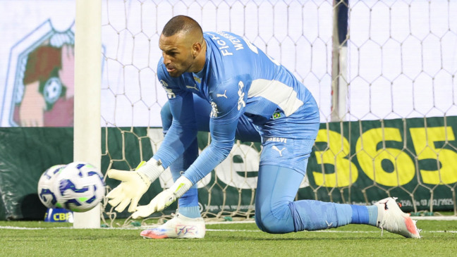 O goleiro Weverton, da SE Palmeiras, em jogo contra a equipe do Mirassol FC, durante partida válida pela décima quarta rodada, do Campeonato Brasileiro, Série A, na arena Allianz Parque. (Foto: Cesar Greco/Palmeiras/by Canon)
