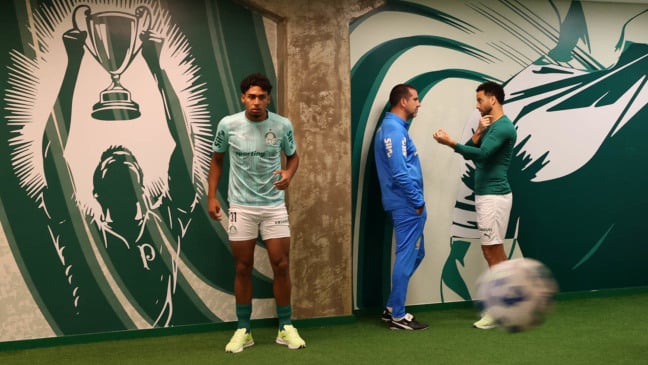 Entenda motivos de mudanças feitas pelo Palmeiras nas paredes do Allianz Parque