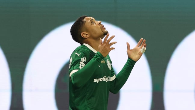 Foto: Cesar Greco/Palmeiras