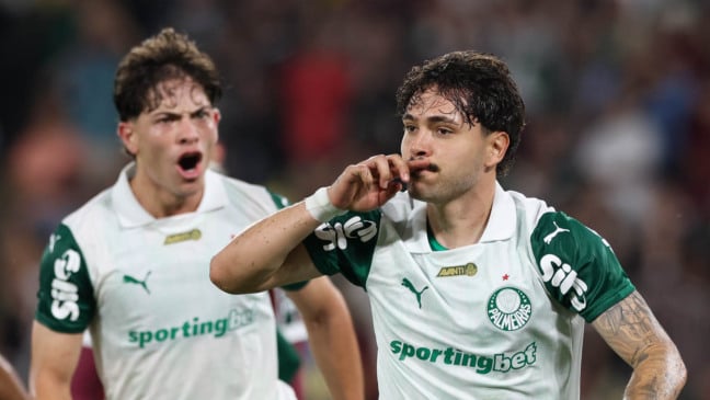 O jogador Mauricio, da SE Palmeiras, comemora seu gol contra a equipe do Fluminense FC, durante partida válida pela décima sexta rodada, do Campeonato Brasileiro, Série A, no Estádio Maracanã. (Foto: Cesar Greco/Palmeiras/by Canon)