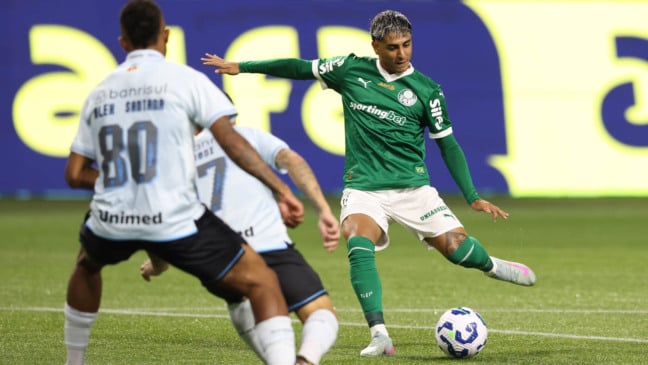 Facundo Torres, do Palmeiras, em ação pelo Campeonato Brasileiro (Foto: Cesar Greco) 