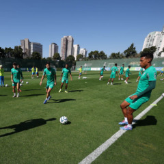 Os jogadores da SE Palmeiras, durante treinamento, na Academia de Futebol. (Foto: Cesar Greco/Palmeiras/by Canon)
