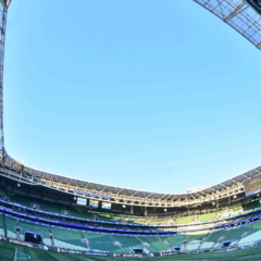Palmeiras anuncia venda de ingressos para jogo contra Grêmio; veja valores