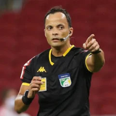 Foto: César Grego/Ag.Palmeiras