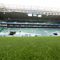 Grama sintética sendo instalada no Allianz Parque, em São Paulo-SP. (Foto: Fabio Menotti)