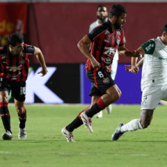 Palmeiras e Vitória pelo Campeonato Brasileiro (Foto: Cesar Greco/Palmeiras)