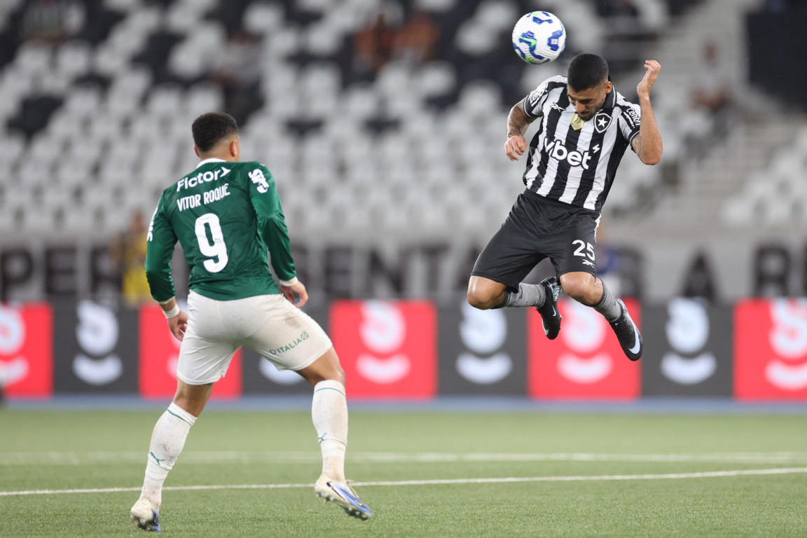 Botafogo e Palmeiras, pelo Brasileirão (Foto: Vitor Silva/Botafogo