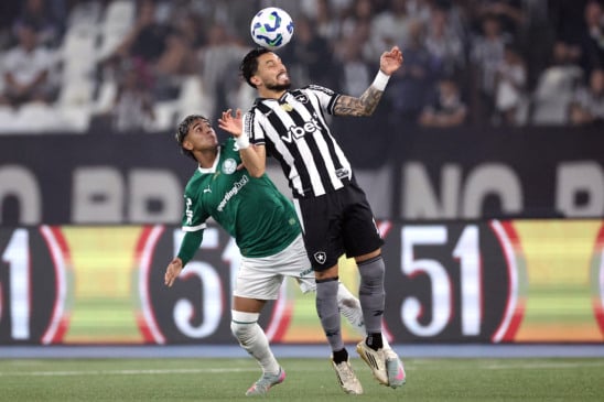 Botafogo e Palmeiras, pelo Brasileirão (Foto: Vitor Silva/Botafogo)