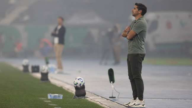 O técnico Abel Ferreira, da SE Palmeiras, em jogo contra a equipe do Botafogo FR, durante partida válida pela vigésima rodada, do Campeonato Brasileiro, Série A, no Esteadio Nilton Santos. (Foto: Cesar Greco/Palmeiras/by Canon)