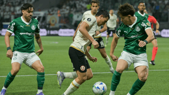 Palmeiras em ação pela Libertasores (Foto: Staff/ CONMEBOL) 