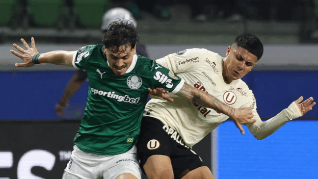 Palmeiras em ação pela Libertasores (Foto: Staff/ CONMEBOL) 