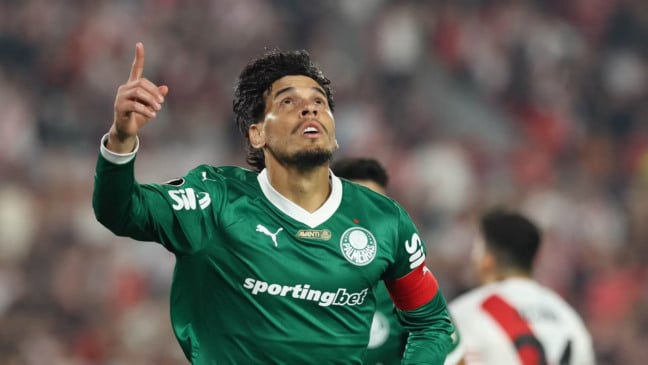 Gómez comemora gol pelo Palmeiras na Libertadores (Foto: Cesar Greco/Palmeiras)