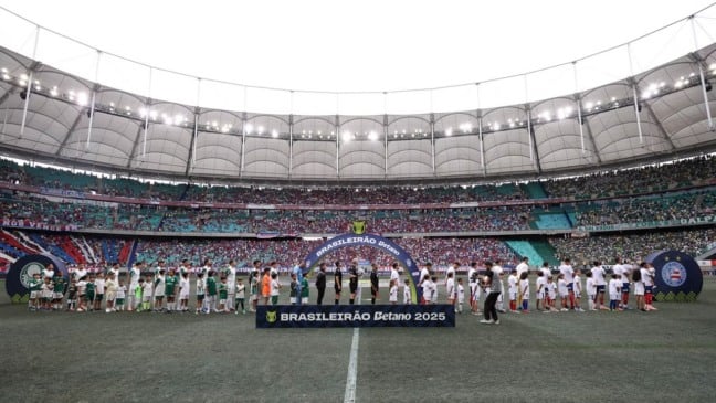 Muita tinta e não apresentava boas condições: árbitro de Palmeiras e Bahia relata situação do gramado