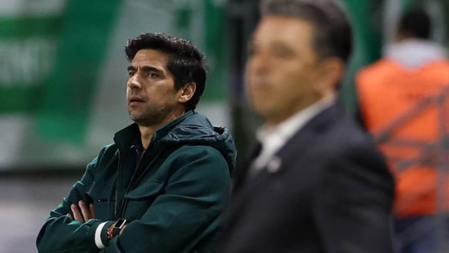 Abel Ferreira à beira do campo pelo Palmeiras (Foto: César Greco) 