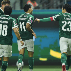 Palmeiras em ação pelo Campeonato Brasileiro (Foto: Divulgação / Allianz Parque) 