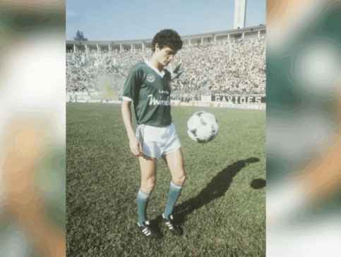 Edu Manga em ação pelo Palmeiras (Foto: Divulgação) 