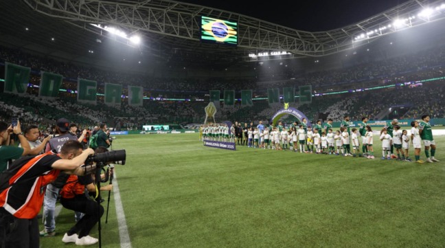 Mosaico da torcida do Palmeiras na partida contra Juventude (Foto: Cesar Greco/Palmeiras)