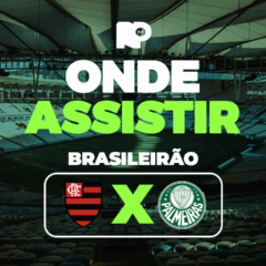 Flamengo x Palmeiras: onde assistir jogo pelo Brasileirão
