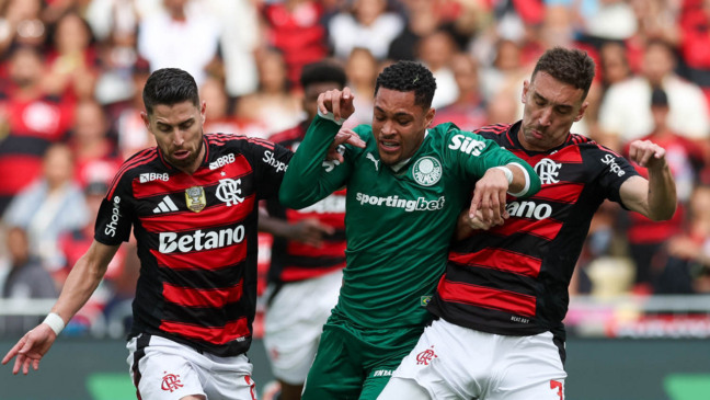 Vitor Roque em ação pelo Palmeiras no Brasileirão. Foto: César Greco/Palmeiras