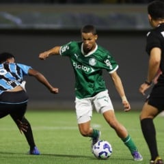 Foto: Palmeiras/Divulgação