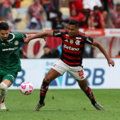 Palmeiras x Flamengo, pelo Campeonato Brasileiro (Foto: Cesar Greco / Palmeiras) 