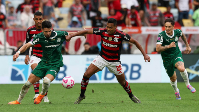 Palmeiras x Flamengo, pelo Campeonato Brasileiro (Foto: Cesar Greco / Palmeiras) 