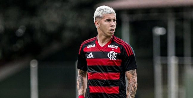 Atacante que atuava no Flamengo é liberado para atuar pelo Palmeiras