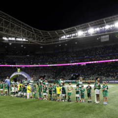 Time do Palmeiras em campo. Foto: César Greco/Palmeiras