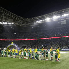 Palmeiras se despediu do Allianz com dois empates sem gols (Foto: Cesar Greco/Palmeiras)
