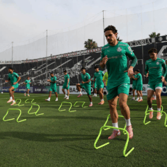 Palmeiras faz primeiro treino em Lima; Abel Ferreira tem dúvidas na escalação para final contra Flamengo