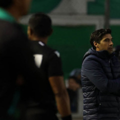 Abel Ferreira em jogo contra o Juventude, pelo Brasileirão. Foto: César Greco