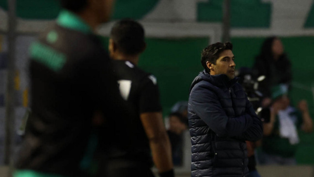 Abel Ferreira em jogo contra o Juventude, pelo Brasileirão. Foto: César Greco