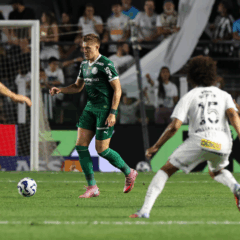 Bruno Fuchs em ação pelo Palmeiras (Foto: Cesar Greco) 