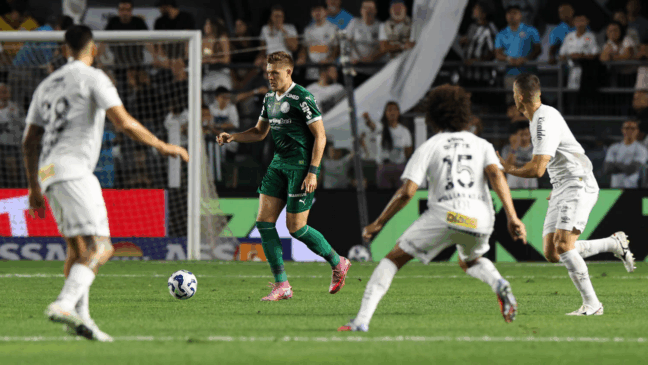 Bruno Fuchs em ação pelo Palmeiras (Foto: Cesar Greco) 