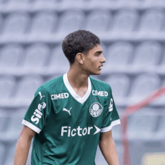 Guilherme em ação pelo Palmeiras (Foto: Reprodução/Rafael Assunção)