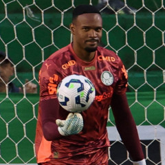 Carlos Miguel em ação pelo Palmeiras. Foto: César Greco/Palmeiras