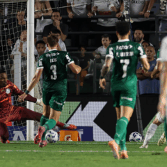 Carlos Miguel em ação pelo Palmeiras (Foto: Cesar Greco)