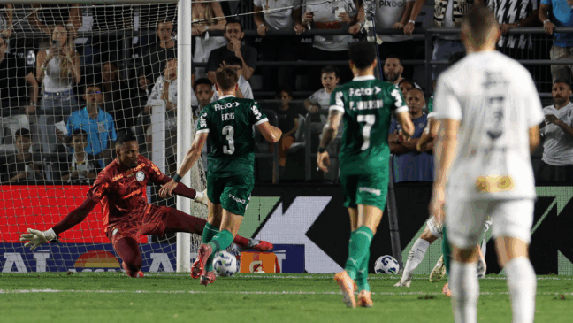 Carlos Miguel em ação pelo Palmeiras (Foto: Cesar Greco)
