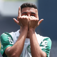 Foto: Fabio Menotti/Palmeiras/by Canon