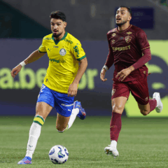Flaco López em ação pelo Palmeiras. Foto: César Greco
