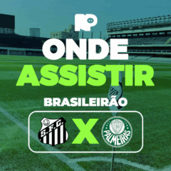 Santos x Palmeiras: onde assistir jogo pelo Brasileirão