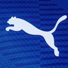 Palmeiras e Puma planejam terceira camisa azul para temporada 2026