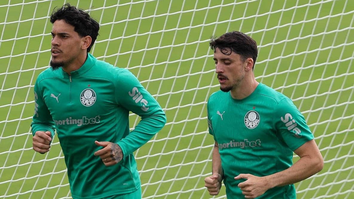 image para ilustrar o artigo