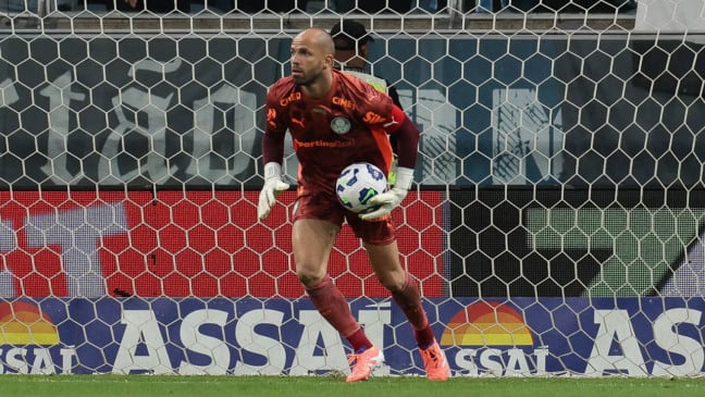 O goleiro Marcelo Lomba, da SE Palmeiras, em jogo contra a equipe do Grêmio FBPA, durante partida válida pela trigésima sexta rodada, do Campeonato Brasileiro, Série A, na Arena do Grêmio. (Foto: Cesar Greco/Palmeiras/by Canon)
