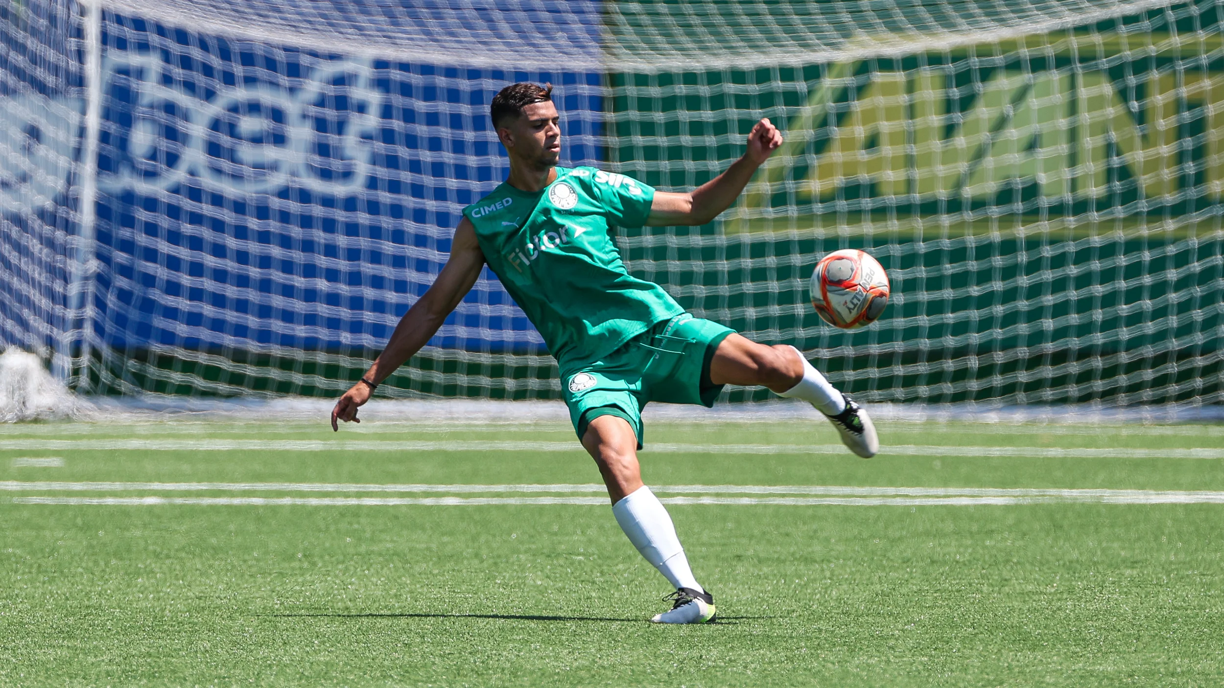 image para ilustrar o artigo