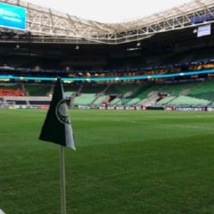 Palmeiras: Allianz Parque avan&ccedil;a e entra na quarta fase da troca do gramado da arena