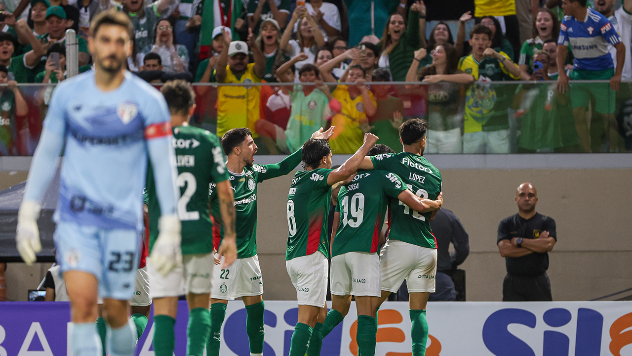 image para ilustrar o artigo